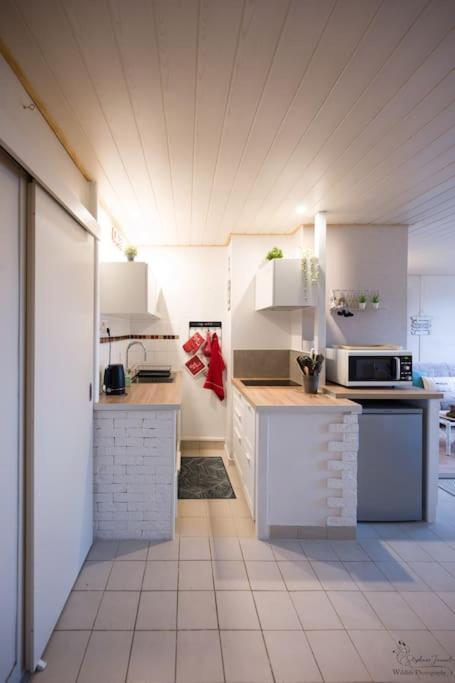 Le Nid Aux Mouettes Apartment La Parée Preneau Exterior foto